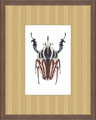 20 x 25 Insectopia I (GF)