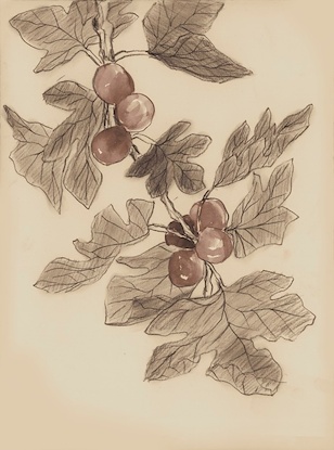 20 x 27 Hanging Fruit I (WNAT)