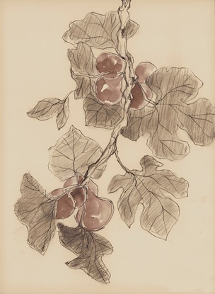 20 x 27 Hanging Fruit II (WNAT)