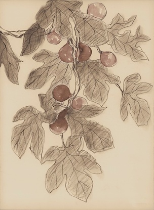 20 x 27 Hanging Fruit III (WNAT)