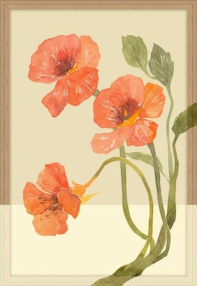 20 x 29 Variety in Bloom VI (FMA-HE-T)