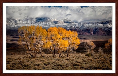 60 x 39 Utah (GF)
