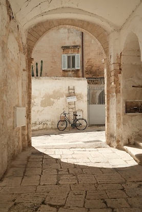 30 x 45 The Antiquarian’s Bicycle (FC)