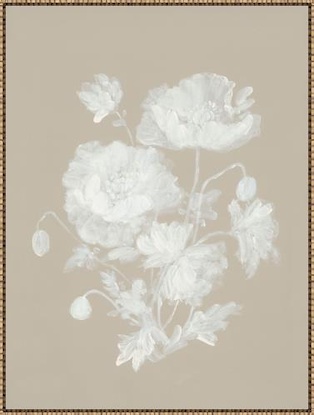 30 x 40 Faded Reverie I (LN)
