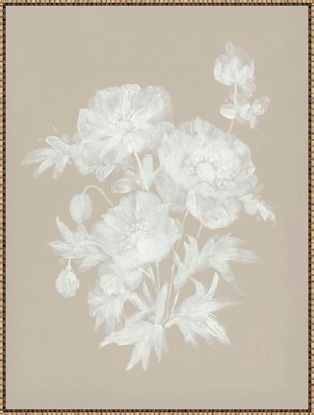 30 x 40 Faded Reverie II (LN)