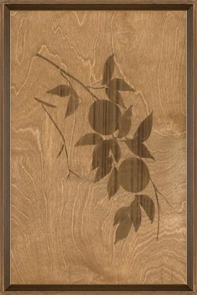 16 x 25 Fading of Summer Fruits I (BWD)