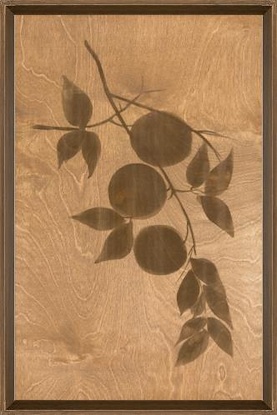 16 x 25 Fading of Summer Fruits II (BWD)