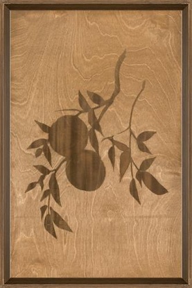 16 x 25 Fading of Summer Fruits III (BWD)