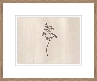 30 x 25 In Bloom II (GF)