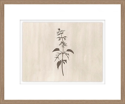 30 x 25 In Bloom III (GF)