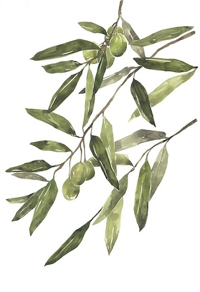 24 x 35 Olive Grove I (WNAT)