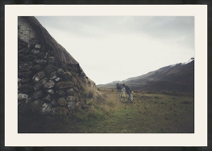 45 x 32 Highlands Grazing (GF)