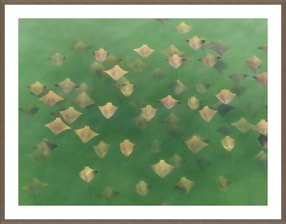 60 x 47 Jade Fleet (GF)