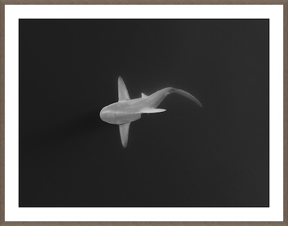 47 x 60 The Ghost Vessel (GF)
