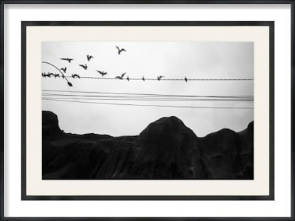 45 x 32 Wire and Wings (GF)