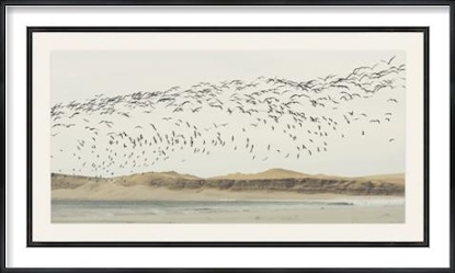 60 x 33 The Great Migration (GF)