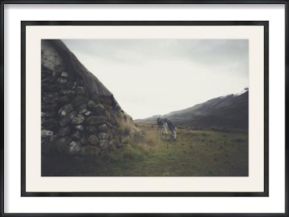 45 x 32 Highlands Grazing (GF)