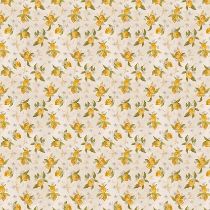 50 x 396 Sweet Citrus (MR)