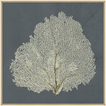 30 x 30 Beauty Under the Sea XI (IBG)