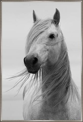 40 x 60 Portrait of Purity (LN)