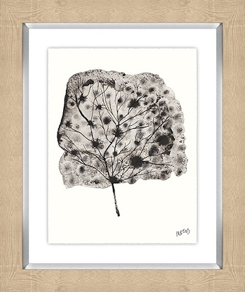 16 x 20 Plant Life V (GF)