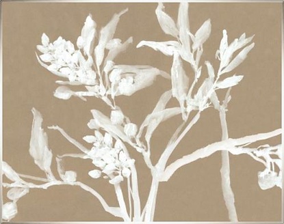 38 x 30 Plant Study IV (KG)