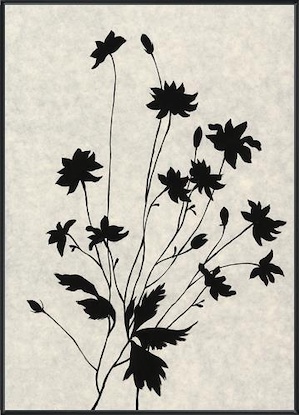 20 x 28 Flower in Poetry III (FC)