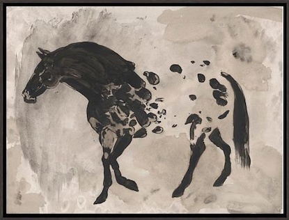 24 x 18 Appaloosa II (WNAT)