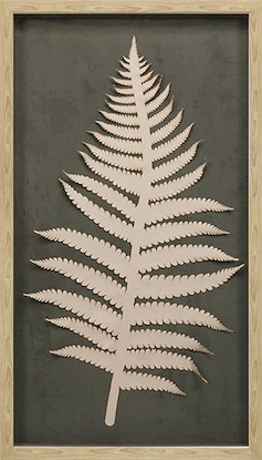 20 x 35 Soft Steps VII (GFOR)