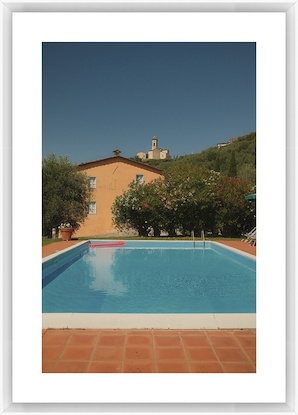 20 x 28 Summer Still (GF)