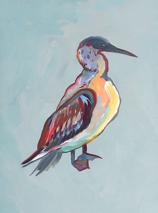 20 x 27 Seabird IV (FC)