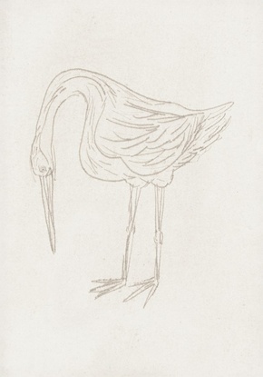 14 x 20 Little Egret (FC)