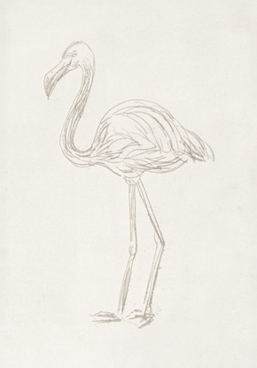 14 x 20 Flamingo (FC)