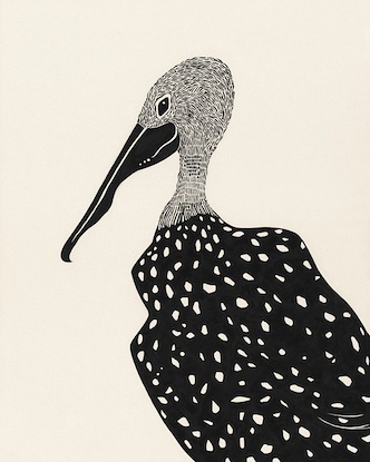 30 x 40 Pelican Noir (WNAT)