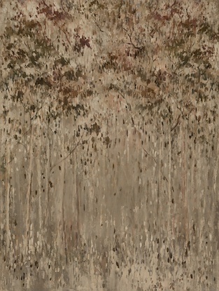 40 x 53 Understory (WNAT)