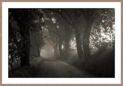 60 x 42 Hidden Road (GF)