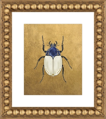 16 x 18 Scarab Variations I (GF)