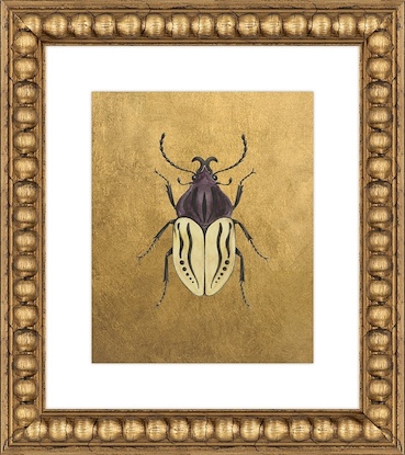 16 x 18 Scarab Variations II (GF)