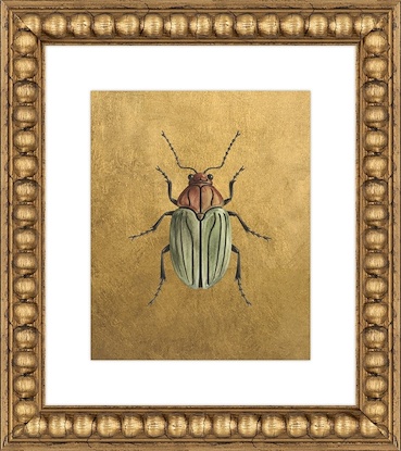 16 x 18 Scarab Variations III (GF)