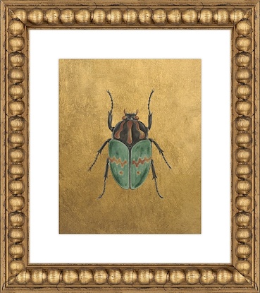 16 x 18 Scarab Variations IV (GF)