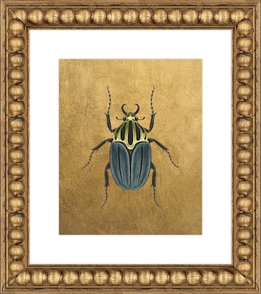 16 x 18 Scarab Variations V (GF)