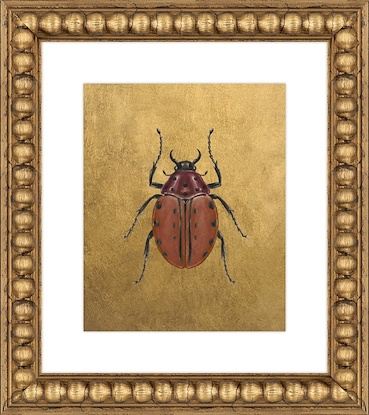 16 x 18 Scarab Variations VI (GF)