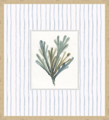 20 x 22 Seaweed I (GF)