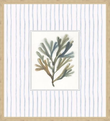 20 x 22 Seaweed II (GF)
