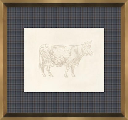16 x 15 Bovine Impression III (GF)