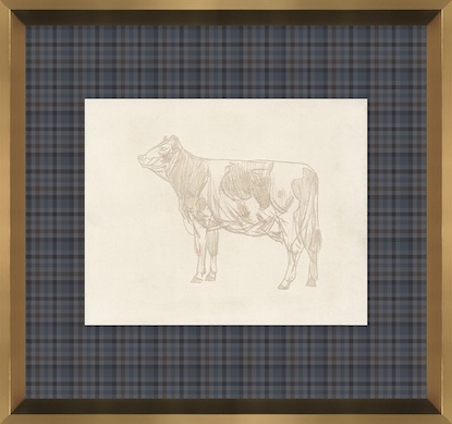 16 x 15 Bovine Impression IV (GF)