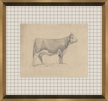 16 x 15 Bovine Impression V (GF)