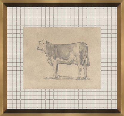 16 x 15 Bovine Impression VI (GF)