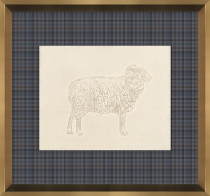 16 x 15 Ovine Impression III (GF)