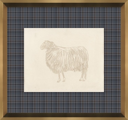 16 x 15 Ovine Impression IV (GF)